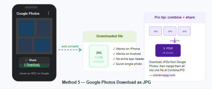 Use Google Photos (Works on Both iPhone and Android)