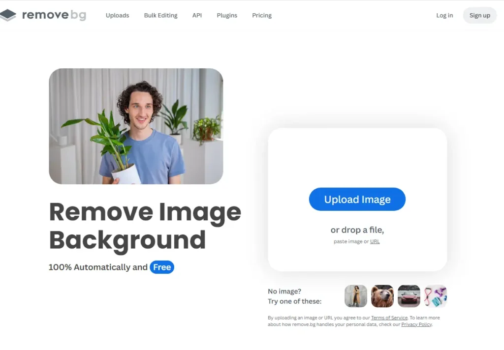 Step-by-Step: Remove Background Using Remove.bg